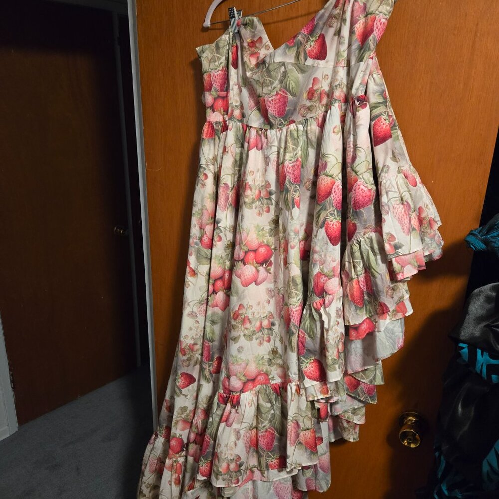 Selkie Legs For Days Strawberry Cream dress - size 4x - Picture 3 of 3